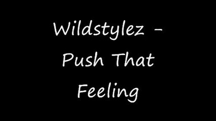 Wildstylez - Push That Feeling 