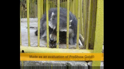 Zoologi4eskata Gradina V Stara Zagora 2