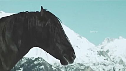 ♥♫ Ennio Morricone ♥ The Falls ♥♫