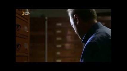 T Rexten Bile Daha Buyuk Spinosaurus Turkce Dublaj Belgesel Film Yonetmen 2016 Hd