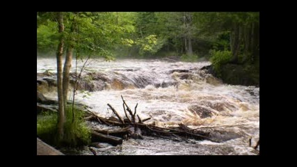 Shadowman - Wild Waters
