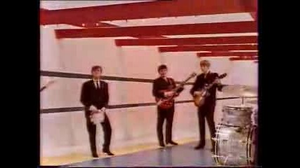 The Rockin Berries - Hes In Town