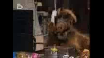 Alf.s02e17