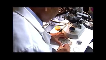 Дилемата на Дарвин
