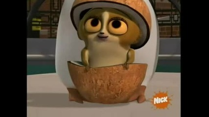 The Penguins Of Madagascar - Paternal Egg Stinct