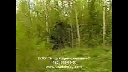 Bv - 206 Лось 