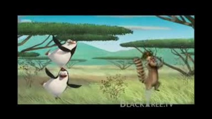Харесва ми да се движи се. Мадагаскар 2