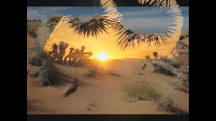 Mark Barnwell - Desert Sunrise
