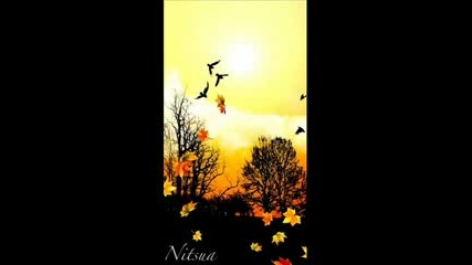 Nitsua - stickerbrush forest 