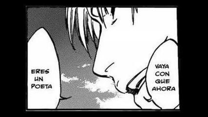 Bleach Manga 411