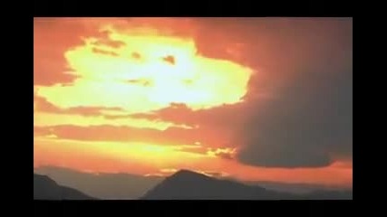 Камелия - дъжд от самота