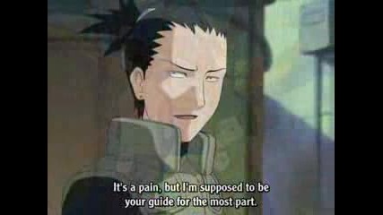 Shikamaru And Temari