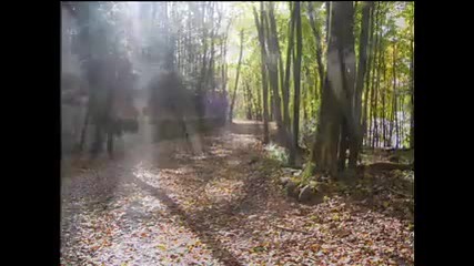 Piano In The Forest (instrumental Relaxing Music)