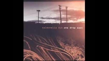 Salmonella Dub - Dancehall Girl