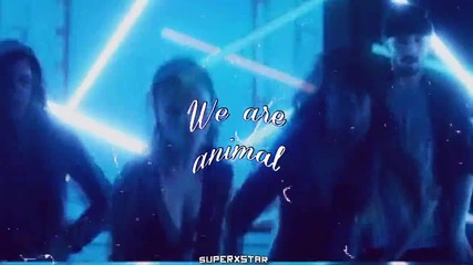E X C L U S I V E ! Animal cp xx