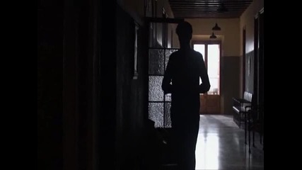 Little Ashes Part Eight