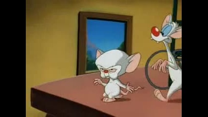 Pinky and the Brain,ep. 21
