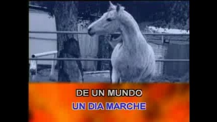 Pimpinela