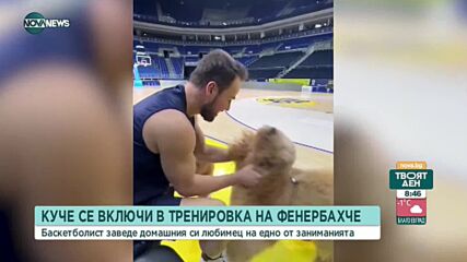Куче се включи в тренировката на Фенербахче