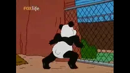 The Simpsons (24.06.2009) bgaudio 