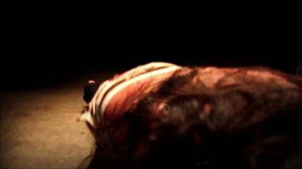 Inferi (arg) - The Fears Conquer (2009)