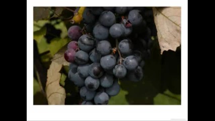 Nancy Wilson - Peel Me A Grape 