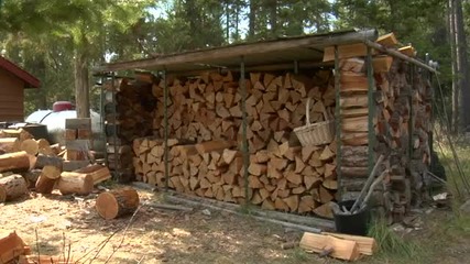 How to Buy, Split and Store Wood