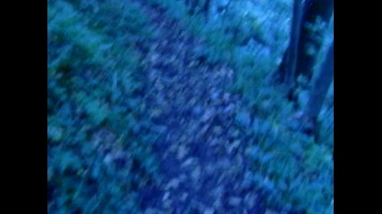Picture 147