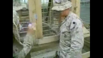 Много Яко Маймуна Шамаросва Войник