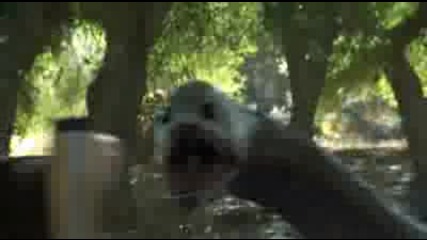 Razortooth 