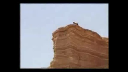 Bike Jumps The Best