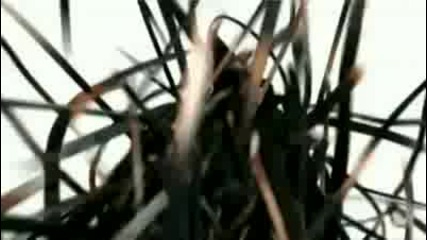 Chris Brown Ft Lil Wayne - I Can Transform Ya