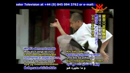 Тайната сила на Шаолин / Mind Over Matter – The Secret Power Behind Shaolin Iron Head Kung Fu 