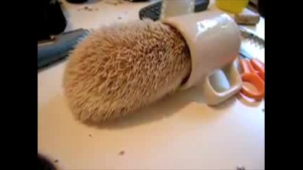 Boogie Boogie Hedgehog 