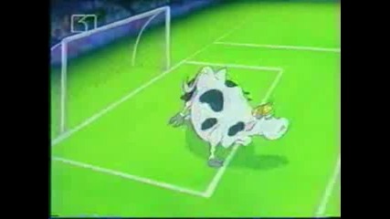 Zoo Cup - Kravi Vs Ovtce 0 - 0 