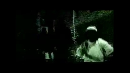 C - Rayz Walz - 3 Card Molly