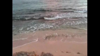 Красотата на един Хавайски плаж