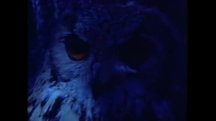 Mike Oldfield & Maggie Reilley~`moonlight Shadow