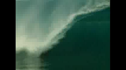 hawaii surfing 