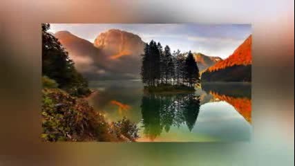 Different World Paradise