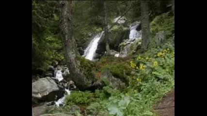 Майстора - Петър Дънов