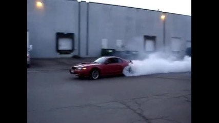 mustang donuts & burnouts