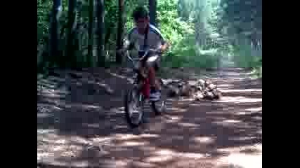 Djihity 