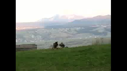 Kucheta Smqh
