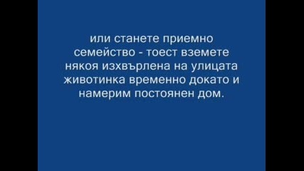 Ужасяващата Реалност Във Велико Търново 