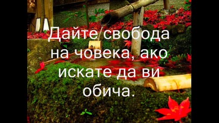 мисли на петър дънов за любовта ч.6