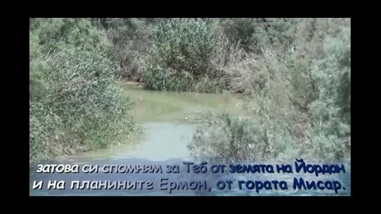 Псалом 42 