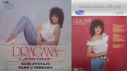 Dragana Mirkovic - Dobro dosao, mili moj - (audio 1987)
