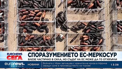 Търговското споразумение ЕС–Меркосур влезе частично в сила