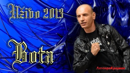 Emil Bota - Kula od stakla - Uživo 2013